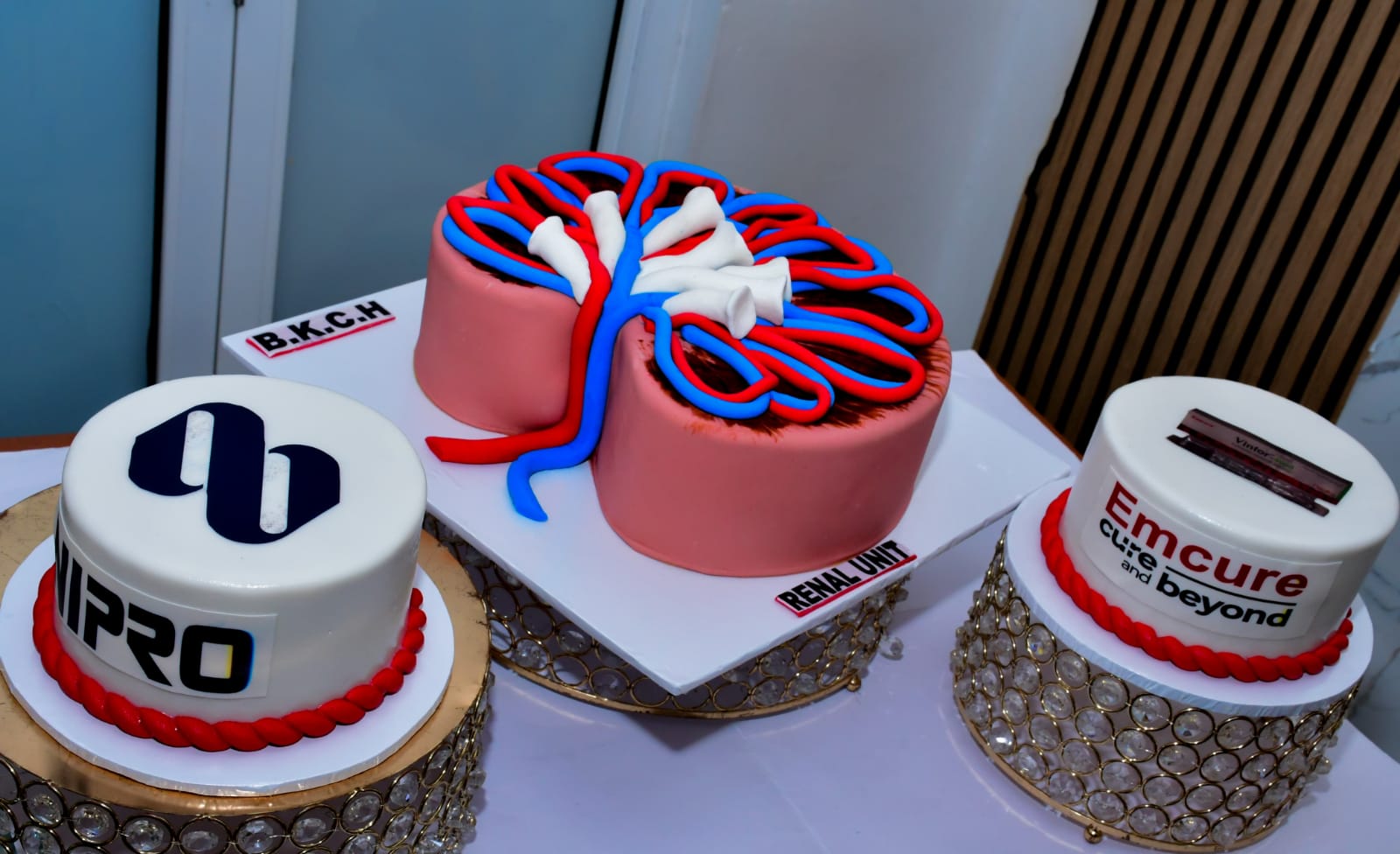 WORLD KIDNEY DAY